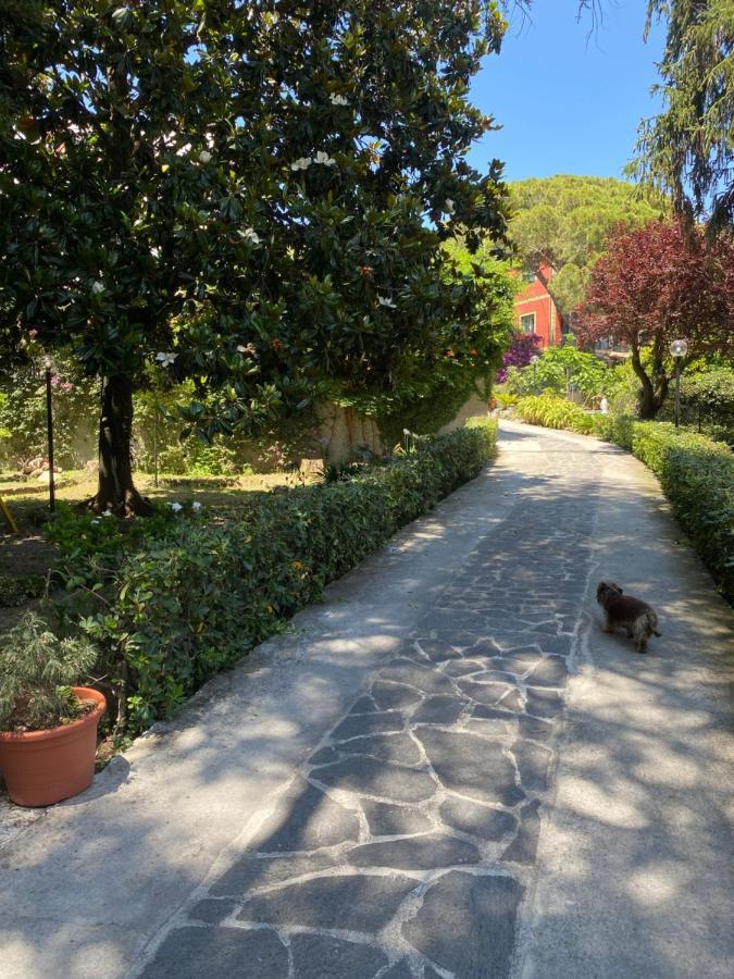 Le Magnolie Acomodação com café da manhã Santa Margherita Ligure Exterior foto